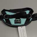 ShawnCo Essential Dog Harness, No-Pull Pet Vest with 3 Leash Clips, No Choke, Reflective, Adjustable and Padded, for Easy Walking and Training for Small, Medium and Large Dogs (Seafoam, S)
