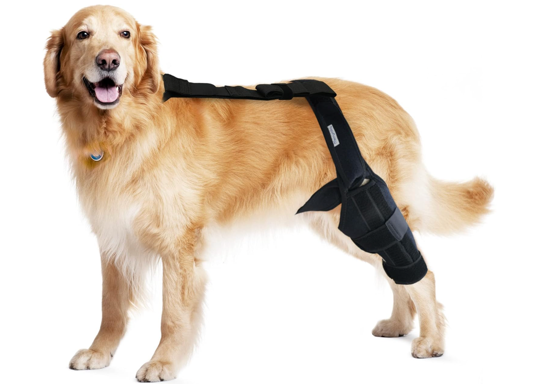 Dog Knee Brace for Torn ACL, Hip Dysplasia, Dog CCL Brace Front Leg or Rear Leg, Black, Small