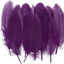PATIKIL 4-7" Natural Goose Feathers Bulk for Crafts, 300 Pack Long Assorted Colors Feathers Decor for DIY Dream Catchers, Hats, Garland, Vase Supplies Adults Crafting, Dark Purple