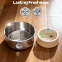Cat Water Fountain Battery Operated: Wireless Cat Fountain with 6 filters and 3 sponges - 88oz/2.6L Cordless Pet Dispenser for Cats Indoor with Motion Sensor - Automatic Quiet Waterer for Small Animal