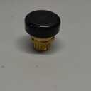 Watts LFN36-M1 Water Service Low Profile Vacuum Relief Valve for Water and Heater Tanks, 3/4 inch