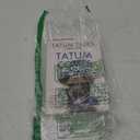 Tatum Comes Home (The Dog Agency Novels)