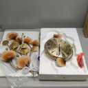 Large Wall Clocks for Living Room Decor with Silent Quartz Movement and 3D Ginkgo Leaf Modern Stylish Decorative Metal Wall Clock for Living Room/Bedroom/Office/Bathroom Wall Art (14''Lx31''W)