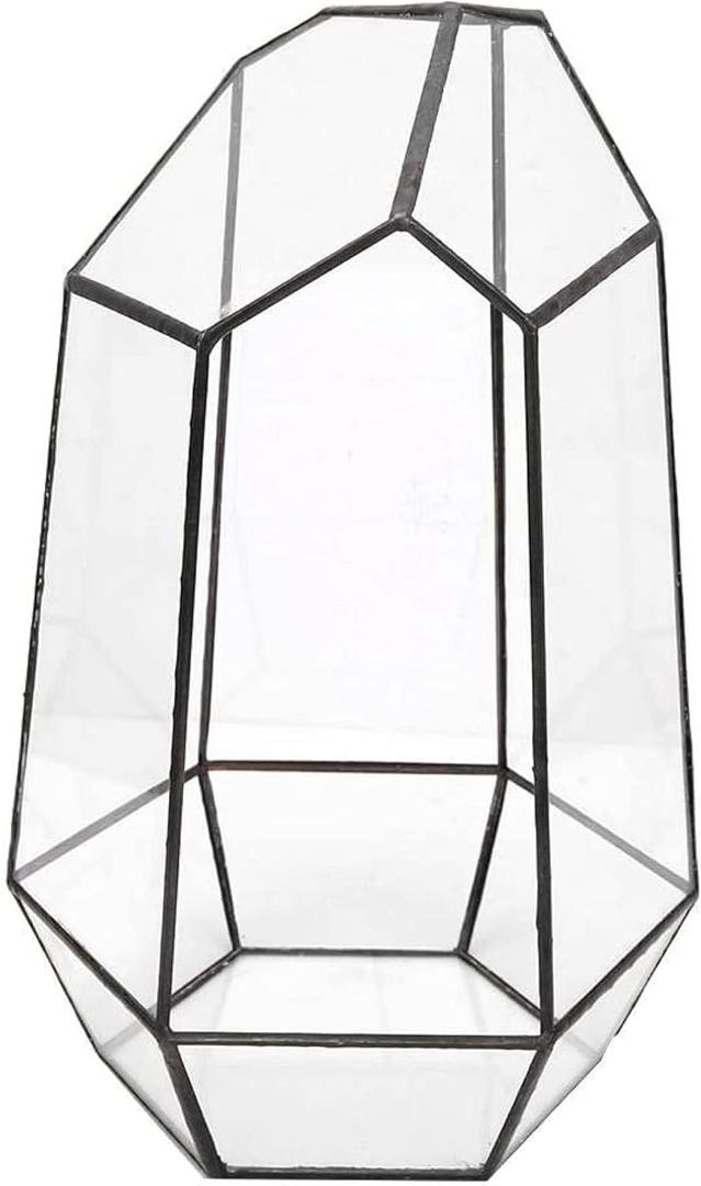 Home Plants Display Holder, Modern Glass Tabletop Succulent Plant Terrarium Box Plants Display Holder