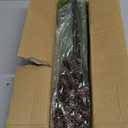 Artificial Christmas Norfolk Pine Stems Branches for Vases,12 Bundles Fake Pine Stems with 2 PCS Small Pinecones Branches Faux Evergreen Real Touch Greenery for Xmas Holiday Winter Table Indoor Decor