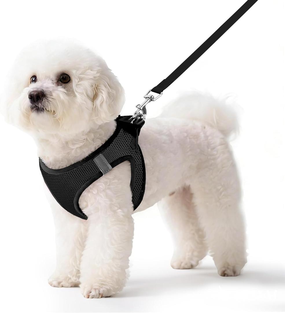 Pet Harness No Pull with Breathable Mesh, Comfort-Focused Dog and Cat Harness Featuring Hook & Loop Fastener, Snap Buckle and Double D-Rings, 0.55FIT, Black, Small