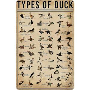 Duck Gifts Types of Duck Vintage Tin Sign for Home Office Farmhouse Man Cave Hunting Room Classroom Wall Art Decor 8x12 Inch (3269)