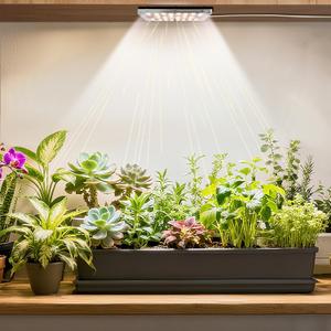 Stick-On Under Cabinet Grow Lights with Timer, High PPFD Sun-Like Full Spectrum LED Puck Light for Indoor Plants, Succulents, Mini Spotlight for Shelves, Terrarium & Display Case (3500K Warm White) (Single-Head: 60-LED Grow Lamp)