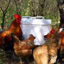 Chicken Feeder No Waste Automatic Poultry Feeder Ports Kit and Waterer Set