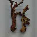 majoywoo Natural Large Driftwood for Aquarium Decor Reptile Decor, Fewer Branches 12.5-18" 2Pcs (Mopani Driftwood 12.5 to 18 Inch (Pack of 2))