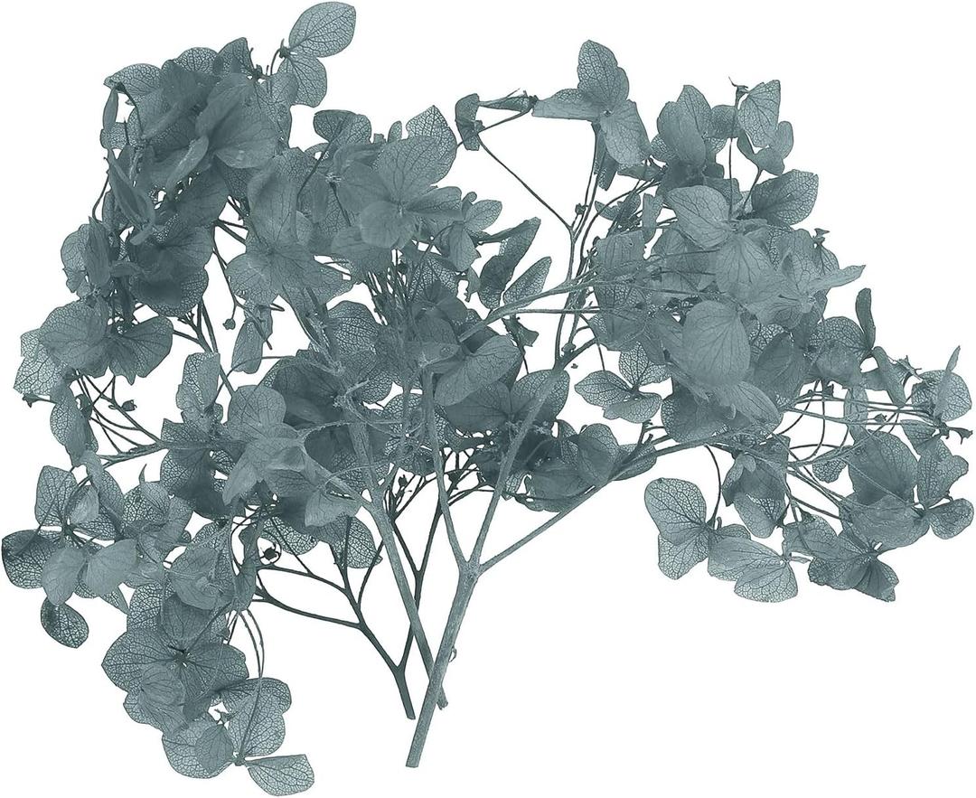 PATIKIL Dried Hydrangea Flower, 10g Natural Pressed Flowers Real Hydrangeas Petals for DIY Resin Crafts Card Floral Gift Candle Making Decor (Grey)
