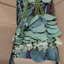 lovemoon 130 Pcs Artificial Mixed Eucalyptus Stems Bulk, 5 Kinds of Faux Greenery Eucalyptus Leaves Bulk for Vase Wedding DIY Bouquets Floral Arrangement Home Decor (130, Green)