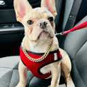 Chain Dog Collar, Bling Diamond Cuban Link Dog Collars Glitter Chain Rhinestone Puppy Necklace for for Small Medium Large Pet Dogs (Rose Gold, 20 inch)