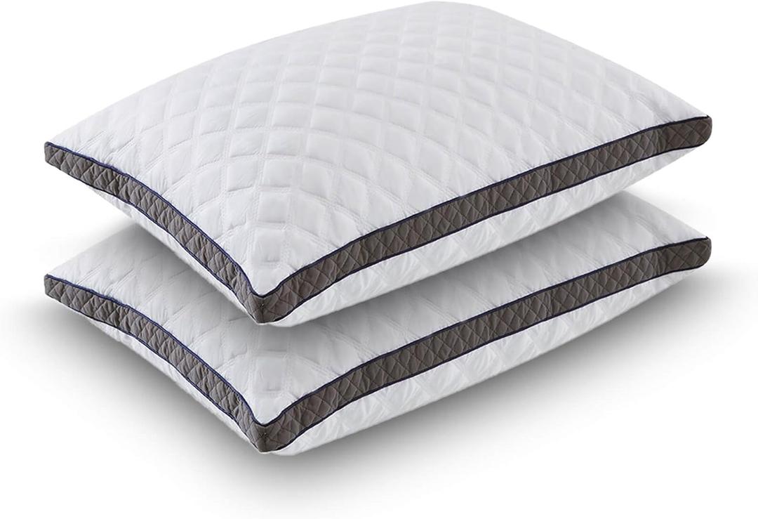 JJDANFILL Rayon Derived from Bamboo Pillow Queen Size, Shredded Memory Foam Pillows for Sleeping, Adjustable Firm Pillow for Back, Stomach, Side Sleeper - Washable Cover, 20 * 30 2 Pack