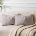 JUSPURBET Throw Pillow Covers Set of 2 Decorative Velvet Pillow Covers for Couch Sofa Bed Soft Lumbar Cushion Covers with Invisible Zipper for Living Room Home Decor,Champagne, 12x20 Inch