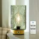 ULAROOM Cordless Lamp Rechargeable Battery Operated lamp, Glass Table Lamp Remote Control - Dimmable Brightness Touch Wireless Bedside Lamp for Bedroom Kitchen Dining Home Living Room Decor Green, Lightbulb Not Included