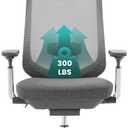 COLAMY Ergonomic Mesh Office Chair, High Back Office Chair, Computer Executive Desk Chair with Lumbar Support, Adjustable Headrest and 4D Arms, Slide Seat, Tilt Lock-Darkgrey