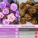 Magic Ants Preserved Roses Real Flowers Last 3 Years No Water 16" Forever Rose Bouquet 7 Lavender Purple Pink Eternas Mothers Day Anniversary Birthday Gift Box Card for Mom Wife Girlfriend