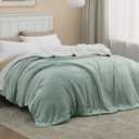 Bedsure GentleSoft Sherpa Fleece Blanket Queen Size for Bed, Non-Heated, Thick and Warm Throw for Women and Men, Soft Fuzzy Plush Queen Blanket for Spring, Sage Green, 90x90 Inches