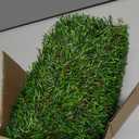 Turf Grass 29.5"x17" for Dogs with Drainage Holes - Easy to Clean Washable Pad for Potty Training, Artificial Turf Dogs Puppies, Realistic Fake Grass for Pet Areas, Dog Potty for Pee Indoor Outdoor