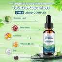 2 x Catfit Soursop Liquid Drop  Soursop Drops for Cell Support, Antioxidant, Relaxation & Immune Boost with Sea Moss, Turmeric, Black Pepper, B6 C, Zinc, Sugar Free, Gluten Free, Vegan, 1 Fl Oz