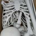 7.9ft/240cm Giant Skeleton Halloween Skeleton Life Size Skeleton Posable Skeleton Full Body Realistic Bones with Movable Joints for Halloween Outdoor Indoor Decorations