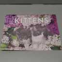 Kitten Calendar 2026 Cat Kitty Gifts Monthly Wall Calender 12 Month | American Made In The USA
