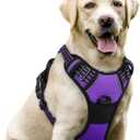 rabbitgoo Dog Harness, No-Pull Pet Harness with 2 Leash Clips, Adjustable Soft Padded Dog Vest, Reflective No-Choke Pet Oxford Vest with Easy Control Handle for Large Dogs, Purple, L