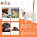 Mixweer 2 Pcs Dog Support Harness for Back Legs Dog Rear Lifting Sling Aid with Handle and Shoulder Strap Hind Leg Support for Pet Mobility Helps Puppy with Poor Stability Joint Injuries(Orange)