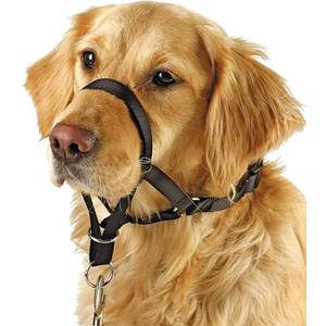 BARKLESS Soft Dog Head Collar, No Pull Training Tool for Medium Large Dogs on Walks, Gentle Halter for Heavy Pullers, Includes A Training Guide (L (Snout Cir: 8.5"-9.5"))