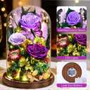Yastouay Gifts for Mom Mothers Day Birthday Gifts for Women, Forever Rose Flowers for Delivery, Purple Preserved Roses Flowers in Glass Dome with Light Gift Box for Mom Her Women Wife Anniversary