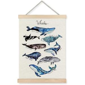 Supwhd Shark Wall Decor, Shark Beach Wall Art for Classroom Nursery Coastal House Beachy Room, Beach Ocean Posters, Nursery Ocean Wall Decor Framed, 12x16