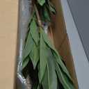 Nearly Natural 3ft. Dracaena Artificial Plant (Real Touch)