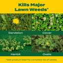 Scotts Liquid Turf Builder with Plus 2 Weed Control Fertilizer, 32 fl. oz. - Weed and Feed - Kills Dandelions, Clover and Other Listed Lawn Weeds - Covers up to 6,000 sq. ft.