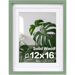 Egofine 12x16 Picture Frame Made of Solid Wood, Display Covered by Plexiglass, Display Pictures 9x12/11x14 with Mat or 12x16 Without Mat for Wall Mounting, Green