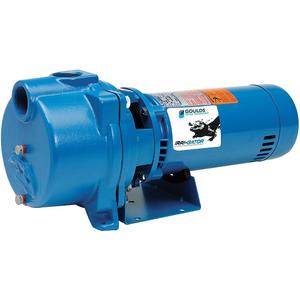GOULDS Pumps GT15 IRRI-Gator Self-Priming Single Phase Centrifugal Pump, 1.5 hp, Blue