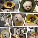 Lightweight Cat Cone Collar, Waterproof Soft Recovery E-Collar for Cats & Small Dogs, Adjustable Protective Elizabethan Collar to Prevent Licking & Biting, Easy-Clean Quick-Dry Design, Yellow M Size (Yellow, M)