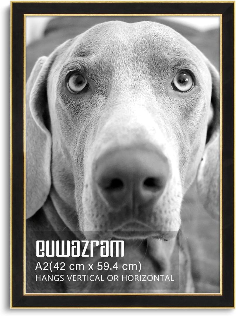 Suede A2 Frame - Single Frame, Elegant Black 16.54x23.39 inch Picture Frame, A2 Poster Frame for Artwork, Puzzles, Photos, Movie Posters, and Wall Display