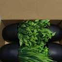 Der Rose Fake Plants 4 Packs Artificial Plants Small Faux Plants Black Bathroom Accessories for Halloween Bathroom Home Kitchen Coffee Table Office Desk Decor Indoor (Green)