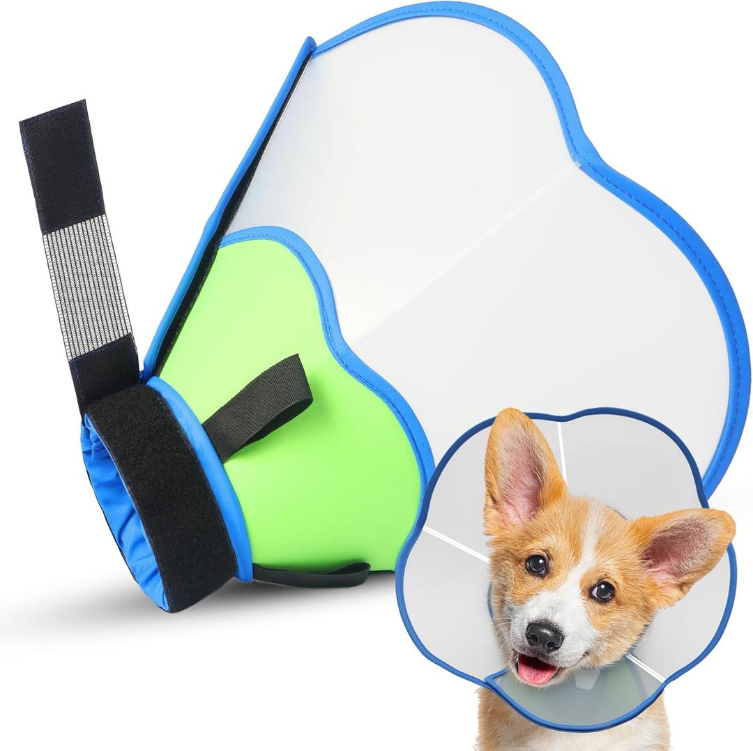 Hard & Heavy Plastic Dog Cone Collar Alternative for Medium Dogs (French Bulldog Dachshund),Pet Neck Head Protective Cone Anti-Lick, Adjustable Elizabethan Recovery Collar Cone of Shame for Healing (M(Neck Girth:11.8"-14.5"), Blue Green)