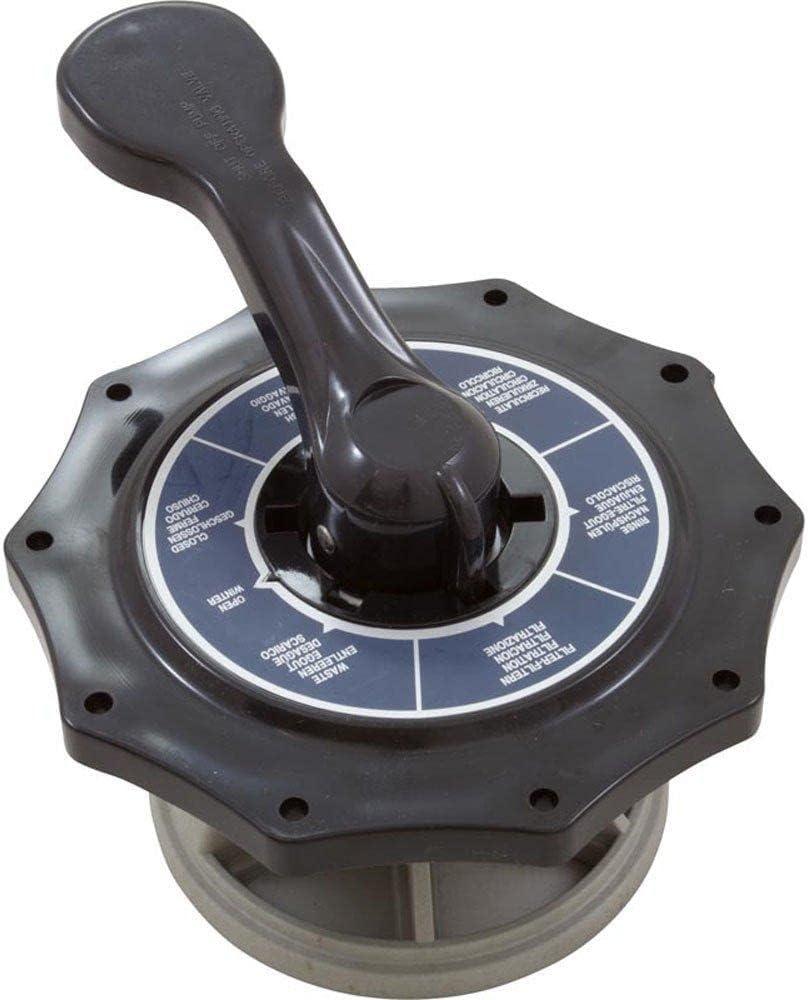 Pentair 272568Z Top Hybird Vlv Asy Rplc