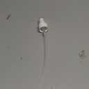 OAK & SAGE 2 White Fine Mist Spray Caps with 6.75 Dip Tube (.16 cc Output) - 24/410 Cap Size - 2 Total