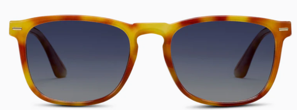 Palmer Polarized Sunglasses