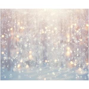 Allenjoy 10 x 8 FT Winter Wonderland Photography Backdrop Christmas Glitter Bokeh Snowflakes Background for Kids Children Newborn Baby Shower Birthday Party Decor Banner Portrait Photo Booth Props