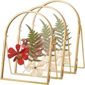 Vicenpal 3 Pcs 5 x 7 Inch Double Glass Frame for Handmade Pressed Flowers Vintage Metal Gold Floating Picture Frames Minimal Vertical Arched Photo Stand for DIY Desk Tabletop Display(Gold)