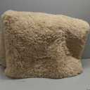 8x10 Area Rugs for Living Room Bedroom, Large Area Rug Shaggy Carpet Soft Plush Furry Bedside Rug, Rugs for Home Decor (Beige, 8 x 10)