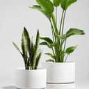 LE TAUCI Large 14 Inch Plant Pot with Saucer | Ceramic Outdoor & Indoor Big Planter Pot | Drainage Hole, Mesh Pad | Unglazed Porous | Modern Minimalist for Home and Patio Chalk White