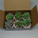 Der Rose Set of 6 Succulents Plants Artificial in Pots Small Fake Plants for Bedroom Aesthetic Living Room Shelf Bathroom Decor Office Desk Accessories (Green)
