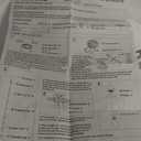 Emak Modern Pendant Lights Kitchen Island, 8 Inch Gold Pendant Light with Milk Glass Shade, Hanging Light Fixture for Kitchen Island, Dining Room, Bathroom, Bedroom, PL122-GD-ML