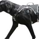 No Escape Dog Harness, Escape Proof Harness, Fully Reflective Harness with Padded Handle, Breathable,Durable, Adjustable Vest for Medium Dogs Walking, Training, and Running Gear (Black, XL) (X-Large (Pack of 1))